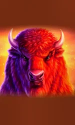 Buffalo 50